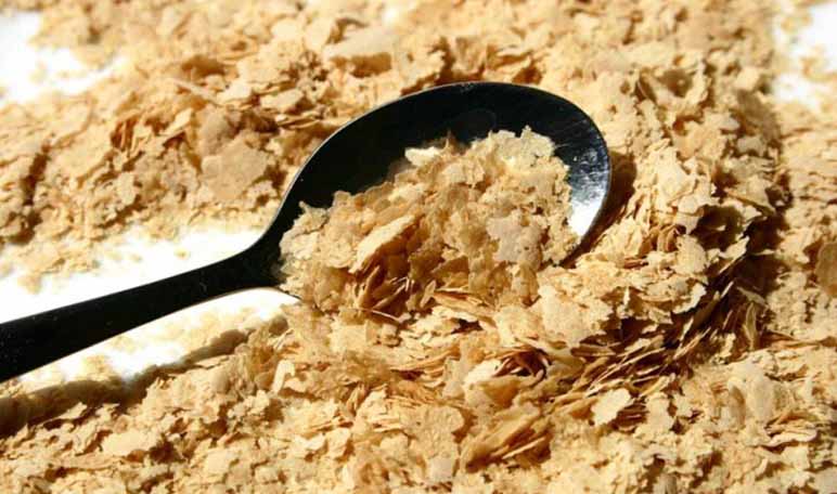 Contraindicaciones de la levadura de cerveza - Apréndete Contraindicaciones de tomar levadura de cerveza