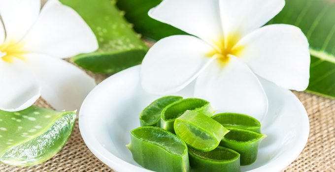 9 propiedades del aloe vera - Apréndete