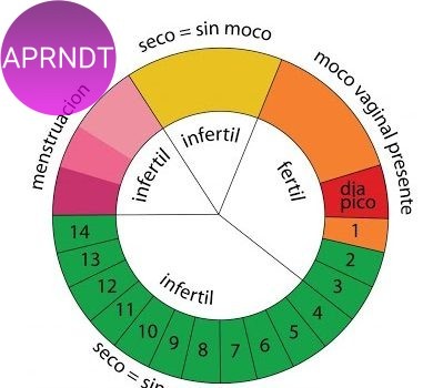 calcular días fértiles