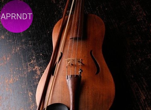 violinista del mundo