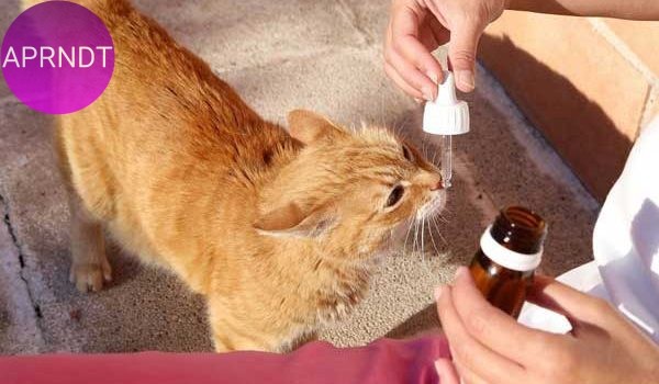 animales homeopatia