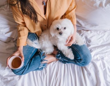 Los 10 nombres para perros más populares - Apréndete Los 10 nombres para perros más populares - Apréndete