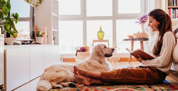 7 razas de perros para dueños primerizos - Apréndete