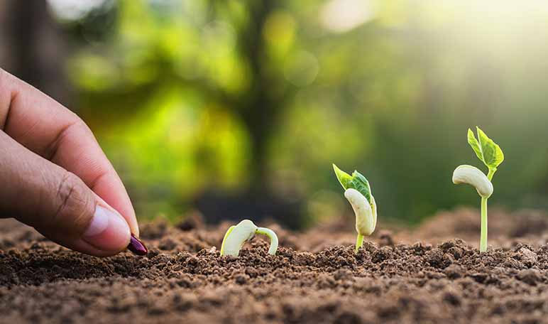 Los imprescindibles para el jardín - Apréndete Los imprescindibles para el jardín - Apréndete