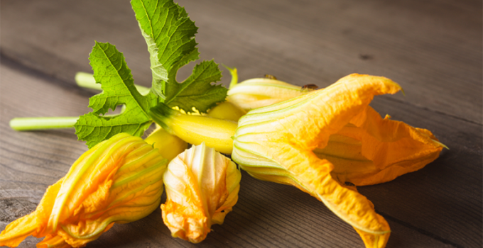 Flores de calabacín rellenas - Apréndete