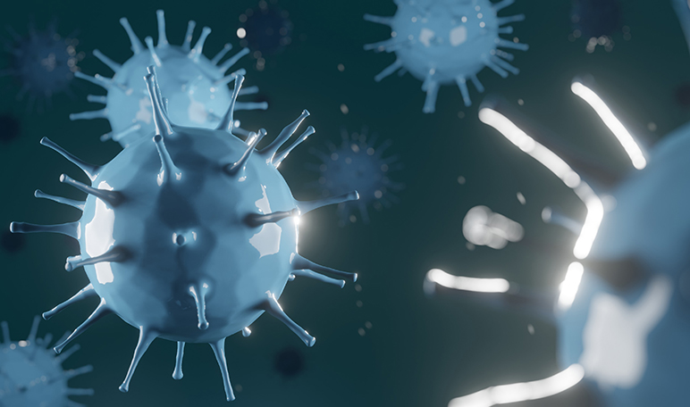 #CoronaVirusStop, una web que facilita la detección de posibles focos de Covid-19 - Apréndete #CoronaVirusStop, una web que facilita la detección de posibles focos de Covid-19 - Apréndete